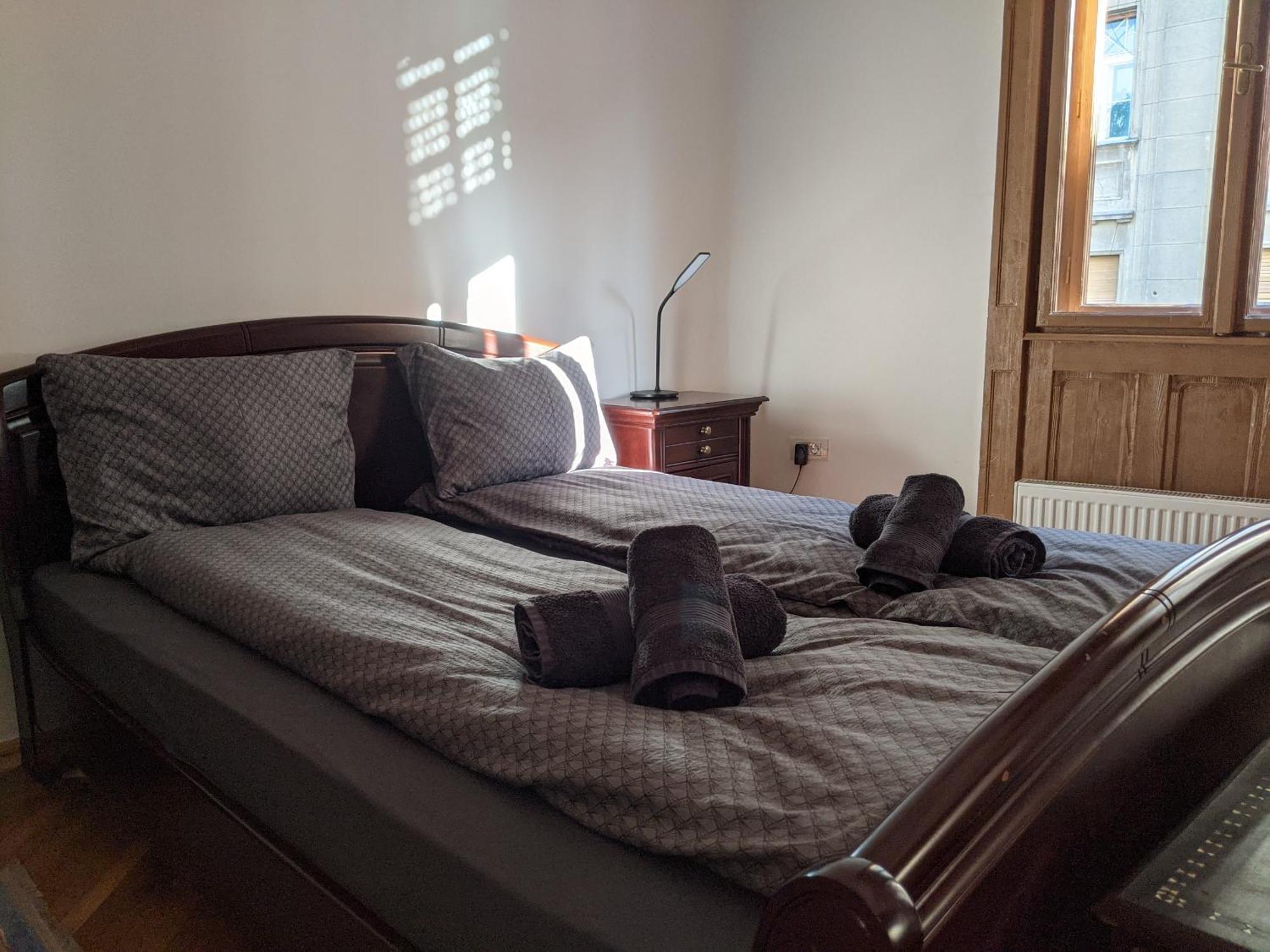 Ultra-Central Apartment In The Loffler Palace Τιμισοάρα Εξωτερικό φωτογραφία